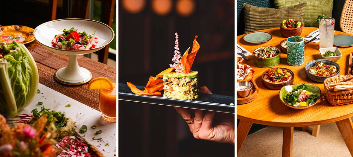 Global Extravagance: Comparing Fine Dining Trends in Paris, Tokyo, and New York